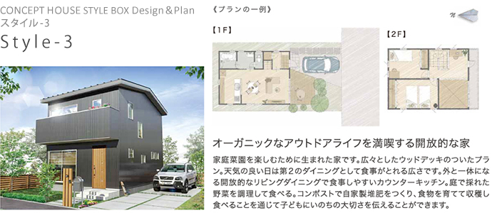 Concept House Style-3